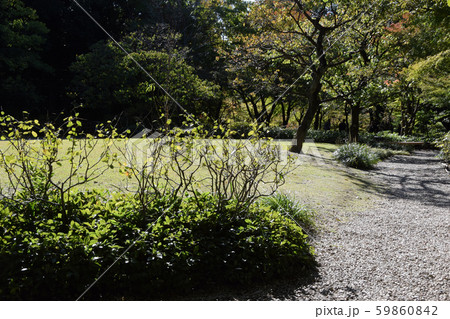 徳川園点景 徳川園点景 59860842