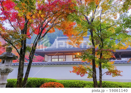 紅葉と寺院 59861140
