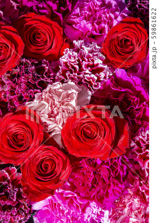 お祝いには美しい花をプレゼント 59861622