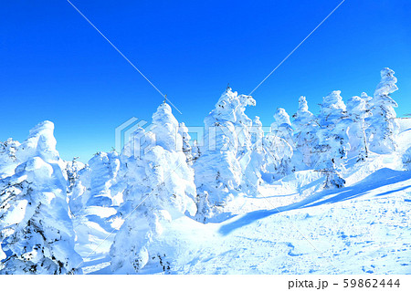 横手山の樹氷 横手山の樹氷 59862444