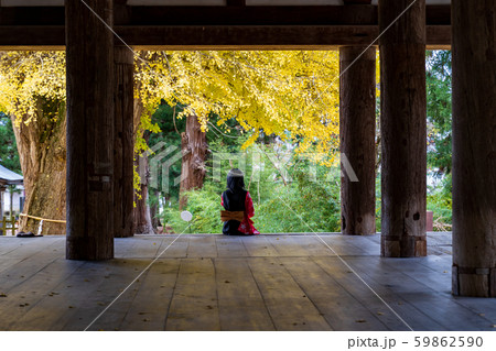 長床の大銀杏と女性　福島喜多方 59862590