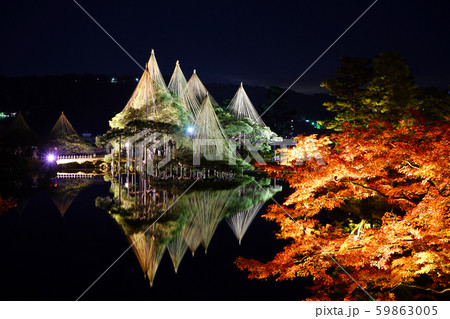 兼六園　霞が池　雪吊　ライトアップ　唐崎松 59863005