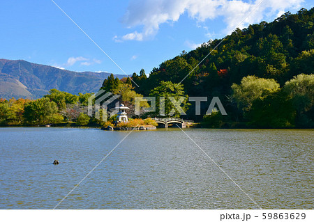 三島池　雪見灯籠 59863629