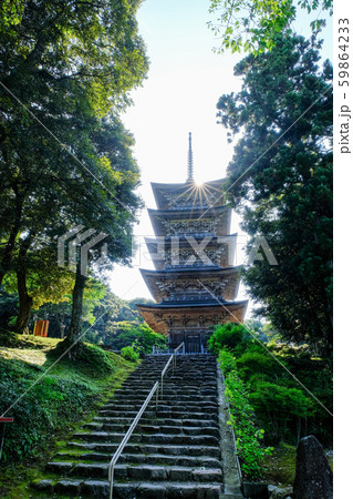 金栄山・妙成寺 (五重塔) 金栄山・妙成寺 (五重塔) 59864233