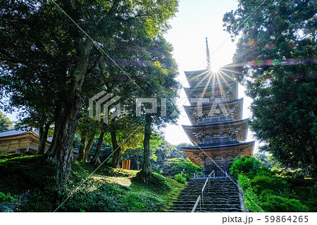 金栄山・妙成寺 (五重塔) 金栄山・妙成寺 (五重塔) 59864265