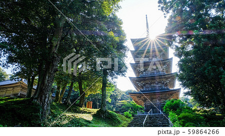 金栄山・妙成寺 (五重塔) 金栄山・妙成寺 (五重塔) 59864266