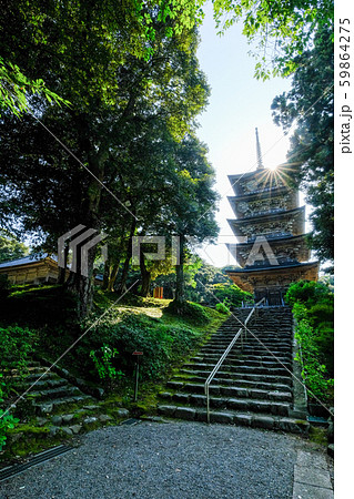 金栄山・妙成寺 (五重塔) 金栄山・妙成寺 (五重塔) 59864275