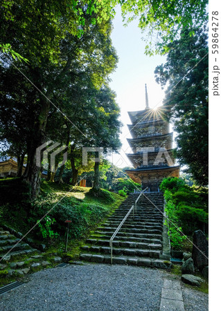 金栄山・妙成寺 (五重塔) 金栄山・妙成寺 (五重塔) 59864278