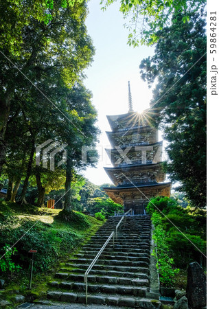 金栄山・妙成寺 （五重塔） 59864281