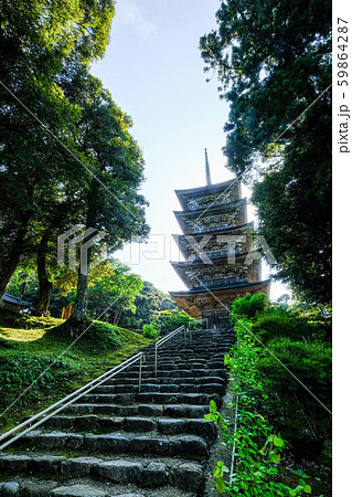 金栄山・妙成寺 (五重塔) 金栄山・妙成寺 (五重塔) 59864287