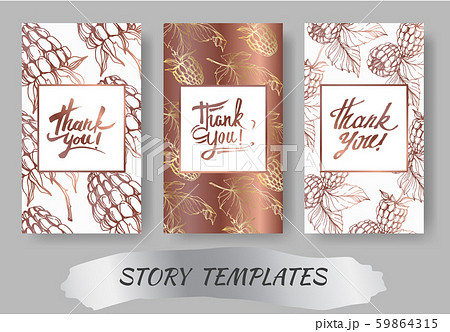 Vector Raspberry healthy food isolated. Black and white engraved ink art. Wedding background card 59864315