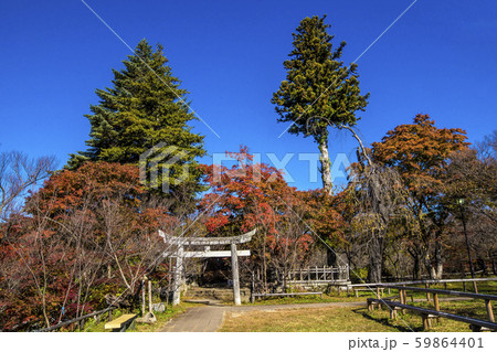 信州 長野県伊那市高遠町東高遠 高遠城址公園の紅葉 秋の新城藤原神社 信州 長野県伊那市高遠町東高遠 高遠城址公園の紅葉 秋の新城藤原神社 59864401