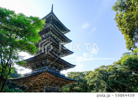 金栄山・妙成寺 (五重塔) 金栄山・妙成寺 (五重塔) 59864439