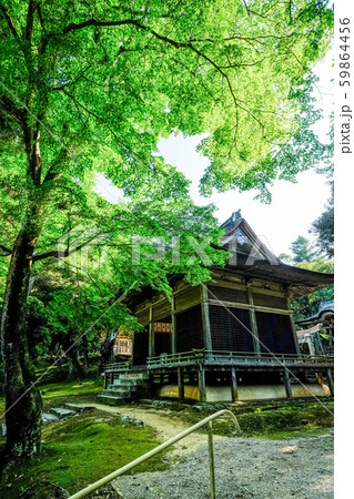 金栄山・妙成寺 (三十番神堂拝殿) 金栄山・妙成寺 (三十番神堂拝殿) 59864456