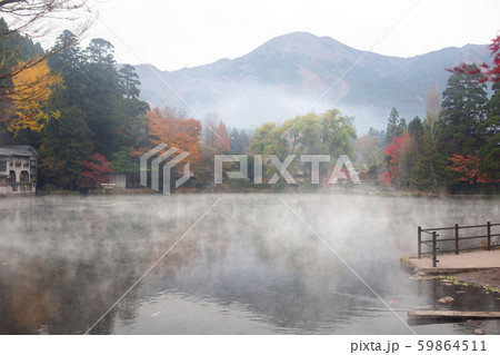 湯布院 金鱗湖の朝霧と紅葉 湯布院 金鱗湖の朝霧と紅葉 59864511