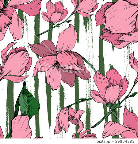 Vector Magnolia floral botanical flowers. Black and white engraved ink art. Seamless background Vector Magnolia floral botanical flowers. Black and white engraved ink art. Seamless background 59864535