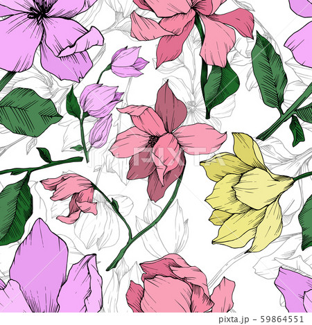 Vector Magnolia floral botanical flowers. Black and white engraved ink art. Seamless background 59864551