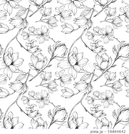 Vector Magnolia floral botanical flowers. Black and white engraved ink art. Seamless background Vector Magnolia floral botanical flowers. Black and white engraved ink art. Seamless background 59864642