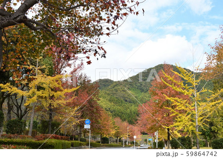 晩秋風景「米泉湖公園・下松市」(2) 59864742