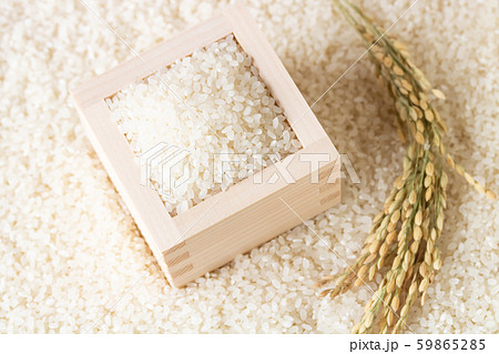 米 白米 ブランド米 雪若丸 新米 米 白米 ブランド米 雪若丸 新米 59865285