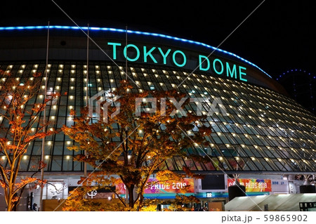 東京ドームの夜景 59865902
