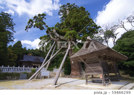 隠岐の島の玉若酢命神社（島根県隠岐郡隠岐の島町） 59866299