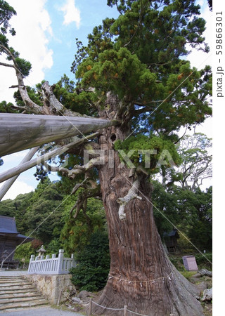 隠岐の島の玉若酢命神社(島根県隠岐郡隠岐の島町) 隠岐の島の玉若酢命神社(島根県隠岐郡隠岐の島町) 59866301