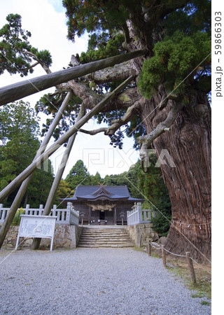 隠岐の島の玉若酢命神社（島根県隠岐郡隠岐の島町） 59866303