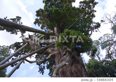 隠岐の島の玉若酢命神社（島根県隠岐郡隠岐の島町） 59866304