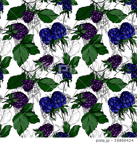 Blackberry healthy food. Black and white engraved ink art. Seamless background pattern. Fabric 59866424