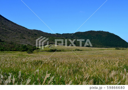 秋のくじゅう 坊がつる湿原 黄金色に輝くススキの草原 秋のくじゅう 坊がつる湿原 黄金色に輝くススキの草原 59866680
