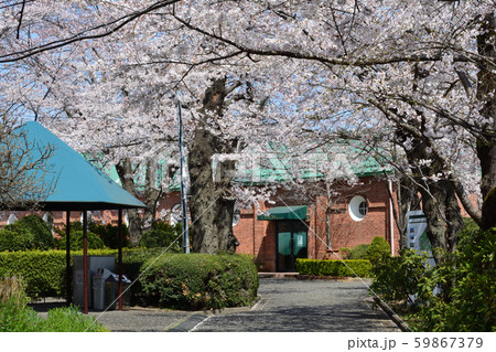 牛久シャトー　2019－4－6　　＃7 59867379