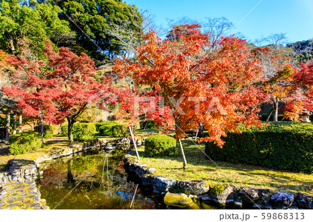 西渓公園の紅葉　【佐賀県多久市】 59868313