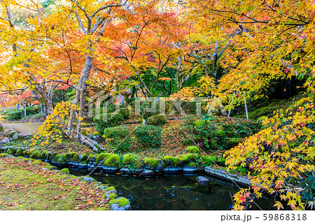 西渓公園の紅葉　【佐賀県多久市】 59868318