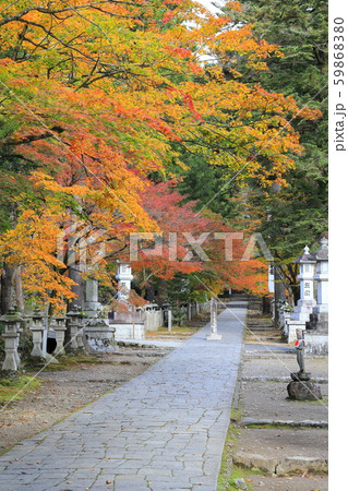 谷汲山華厳寺 秋の参道 谷汲山華厳寺 秋の参道 59868380