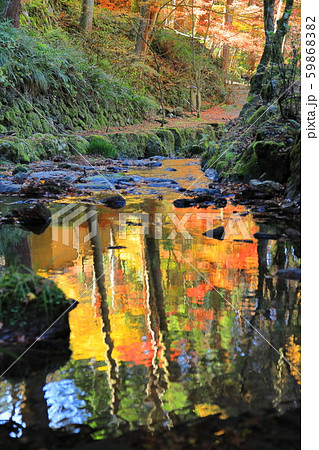 川面に映る秋(小径にピント) 川面に映る秋(小径にピント) 59868382