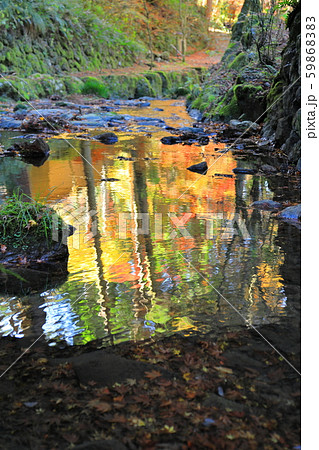 川面に映る秋(水面にピント) 川面に映る秋(水面にピント) 59868383