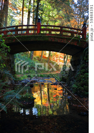 横蔵寺　秋のリフレクション 59868391