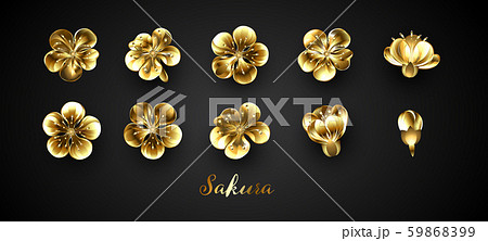 Set of golden sakura flowers Set of golden sakura flowers 59868399