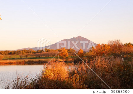 秋の筑波山 母子島遊水地 秋の筑波山 母子島遊水地 59868500