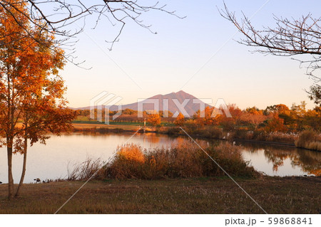秋の筑波山　　母子島遊水地 59868841