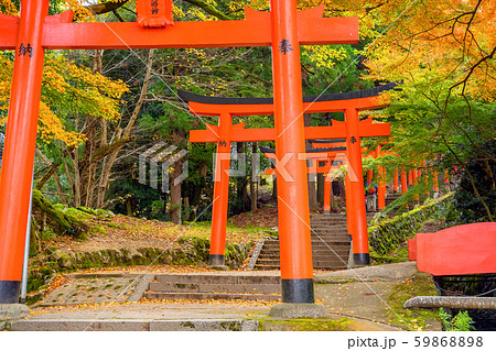 紅葉の出石城跡 59868898