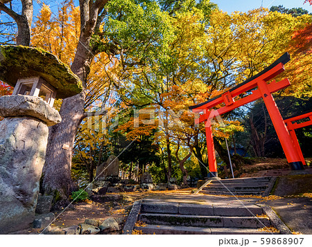 紅葉の出石城跡 紅葉の出石城跡 59868907