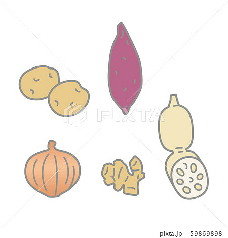 根菜 - じゃがいも・さつまいも・たまねぎ・しょうが・れんこん 59869898