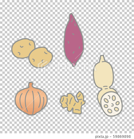 根菜 - じゃがいも・さつまいも・たまねぎ・しょうが・れんこん 59869898