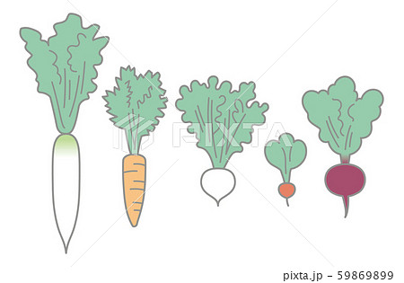 根菜 - ダイコン・ニンジン・カブ・ラディッシュ・ビート 根菜 - ダイコン・ニンジン・カブ・ラディッシュ・ビート 59869899