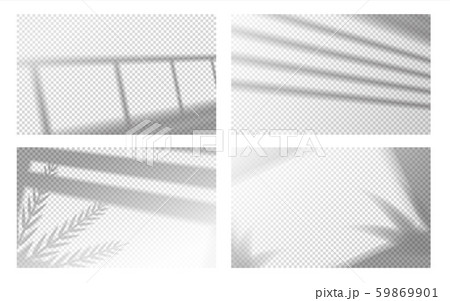 Realistic window shadow. Window frame and louvers with with tropical leaves, window light effect 59869901