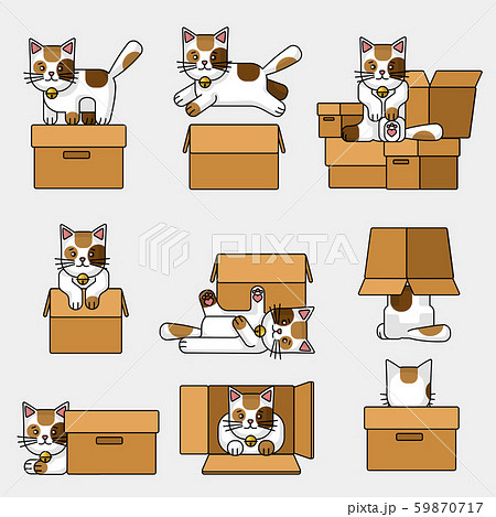 Cartoon Color Cat And Box Icon Set Vectorのイラスト素材