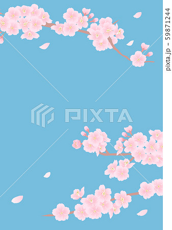 桜の背景素材 桜の背景素材 59871244