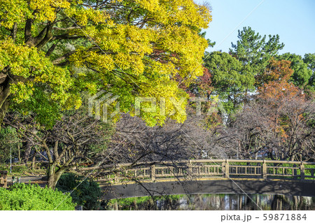 愛知県 名古屋市 名城公園 愛知県 名古屋市 名城公園 59871884